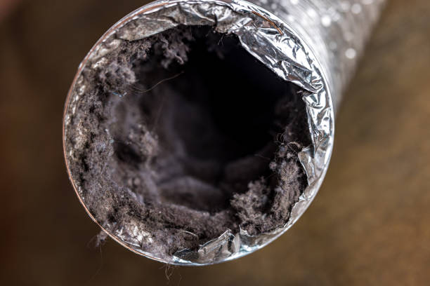 Best Affordable HVAC Duct Cleaning  in Middle Valley, TN
